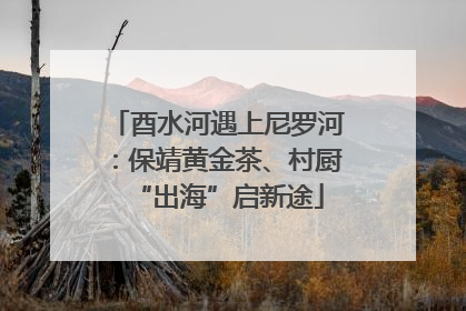 酉水河遇上尼罗河：保靖黄金茶、村厨“出海”启新途