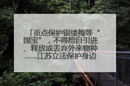重点保护银缕梅等“国宝”，不得擅自引进、释放或丢弃外来物种……江苏立法保护身边的生物“朋友圈”