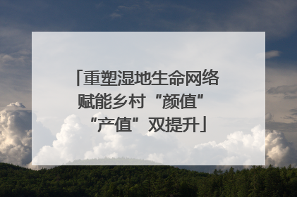 重塑湿地生命网络 赋能乡村“颜值”“产值”双提升