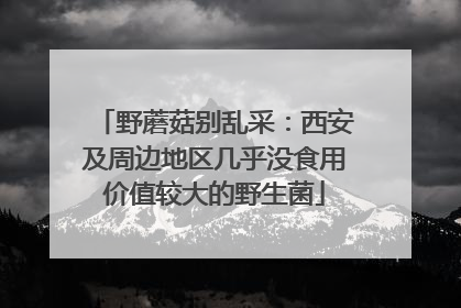 野蘑菇别乱采：西安及周边地区几乎没食用价值较大的野生菌