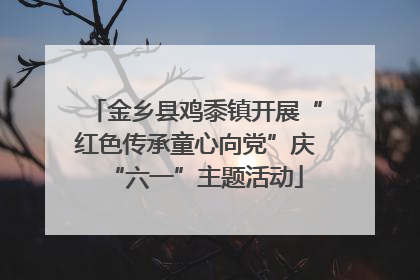 金乡县鸡黍镇开展“红色传承童心向党”庆“六一”主题活动
