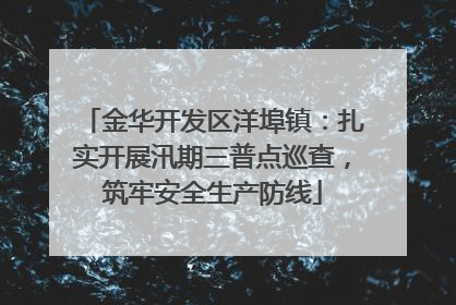 金华开发区洋埠镇：扎实开展汛期三普点巡查，筑牢安全生产防线