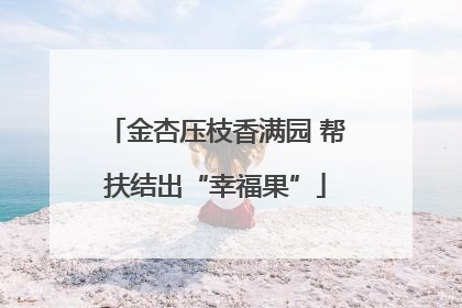 金杏压枝香满园 帮扶结出“幸福果”