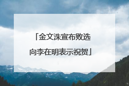 金文洙宣布败选 向李在明表示祝贺