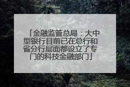 金融监管总局：大中型银行目前已在总行和省分行层面都设立了专门的科技金融部门