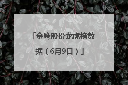 金鹰股份龙虎榜数据（6月9日）