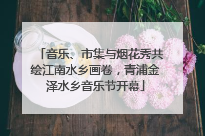音乐、市集与烟花秀共绘江南水乡画卷，青浦金泽水乡音乐节开幕