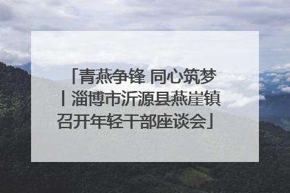 青燕争锋 同心筑梦丨淄博市沂源县燕崖镇召开年轻干部座谈会