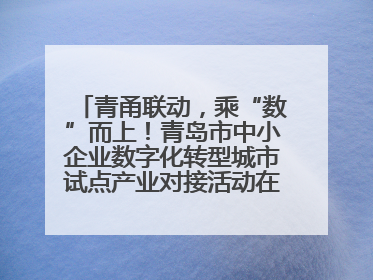 青甬联动，乘“数”而上！青岛市中小企业数字化转型城市试点产业对接活动在宁波开班