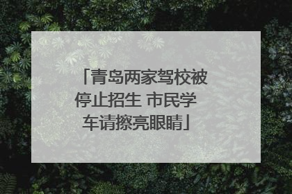 青岛两家驾校被停止招生 市民学车请擦亮眼睛