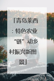 青岛莱西：特色农业“链”动乡村振兴新图景