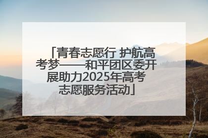 青春志愿行 护航高考梦——和平团区委开展助力2025年高考志愿服务活动