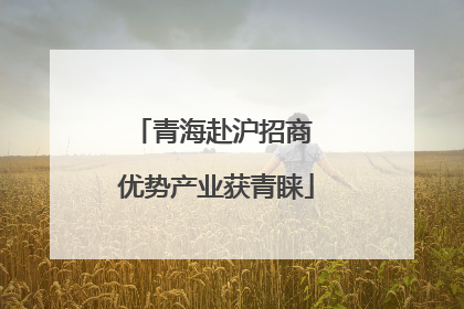 青海赴沪招商 优势产业获青睐