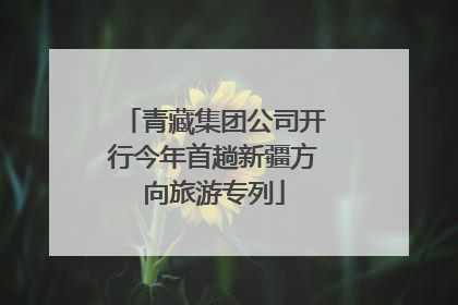 青藏集团公司开行今年首趟新疆方向旅游专列