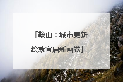 鞍山：城市更新绘就宜居新画卷