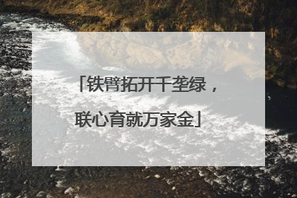 铁臂拓开千垄绿，联心育就万家金