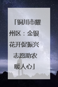 铜川市耀州区：金银花开促振兴 志愿助农暖人心