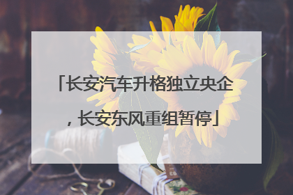 长安汽车升格独立央企，长安东风重组暂停