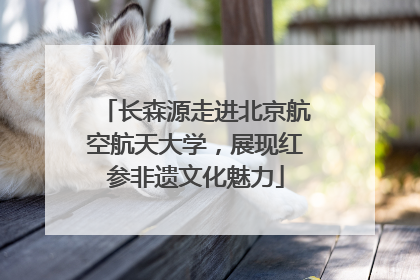 长森源走进北京航空航天大学，展现红参非遗文化魅力