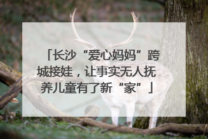 长沙“爱心妈妈”跨城接娃，让事实无人抚养儿童有了新“家”