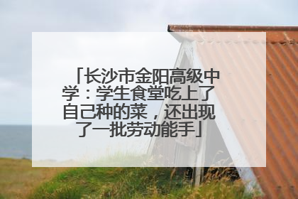 长沙市金阳高级中学：学生食堂吃上了自己种的菜，还出现了一批劳动能手