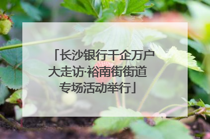 长沙银行千企万户大走访·裕南街街道专场活动举行