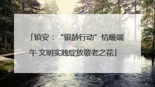 镇安：“银龄行动”情暖端午 文明实践绽放敬老之花