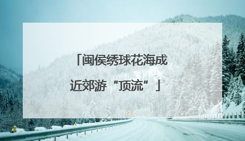 闽侯绣球花海成近郊游“顶流”