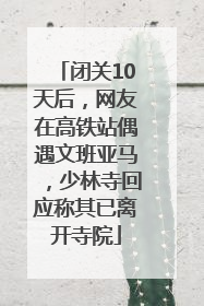 闭关10天后，网友在高铁站偶遇文班亚马，少林寺回应称其已离开寺院