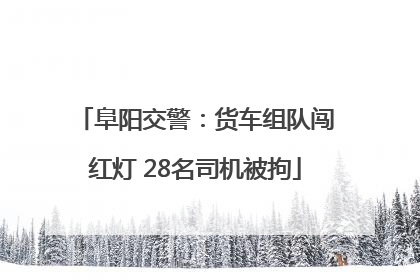 阜阳交警：货车组队闯红灯 28名司机被拘