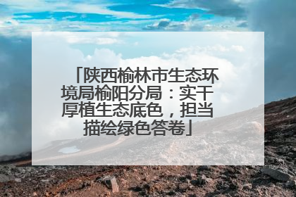 陕西榆林市生态环境局榆阳分局：实干厚植生态底色，担当描绘绿色答卷