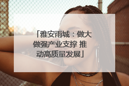 雅安雨城：做大做强产业支撑 推动高质量发展