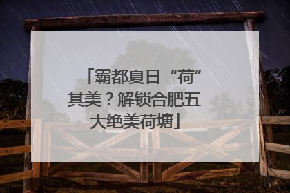 霸都夏日“荷”其美？解锁合肥五大绝美荷塘