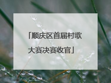 顺庆区首届村歌大赛决赛收官