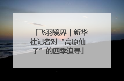 飞羽镜界｜新华社记者对“高原仙子”的四季追寻