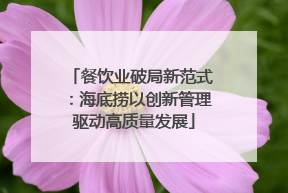 餐饮业破局新范式：海底捞以创新管理驱动高质量发展