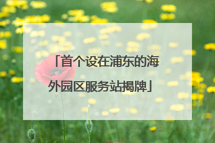 首个设在浦东的海外园区服务站揭牌