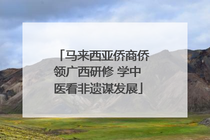 马来西亚侨商侨领广西研修 学中医看非遗谋发展