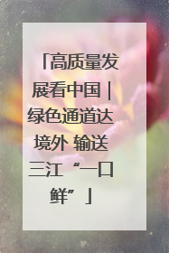 高质量发展看中国｜绿色通道达境外 输送三江“一口鲜”