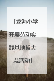 龙海小学开展劳动实践基地拔大蒜活动
