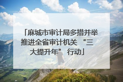 麻城市审计局多措并举推进全省审计机关 “三大提升年” 行动