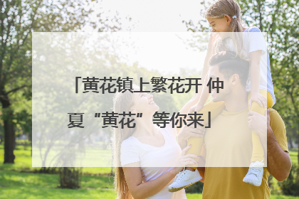 黄花镇上繁花开 仲夏“黄花”等你来