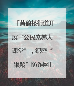 黄鹤楼街道开展“公民素养大课堂”，织密“银龄”防诈网