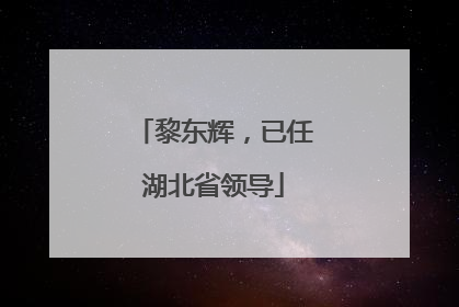 黎东辉，已任湖北省领导