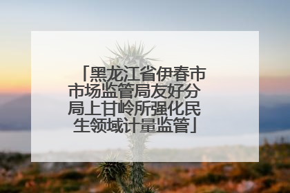 黑龙江省伊春市市场监管局友好分局上甘岭所强化民生领域计量监管