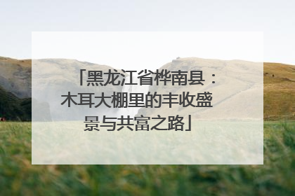 黑龙江省桦南县：木耳大棚里的丰收盛景与共富之路