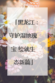 黑龙江：守护湿地瑰宝 绘就生态新篇