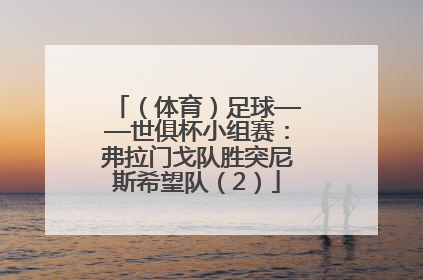 （体育）足球——世俱杯小组赛：弗拉门戈队胜突尼斯希望队（2）
