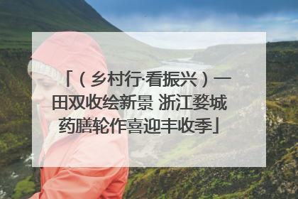 （乡村行·看振兴）一田双收绘新景 浙江婺城药膳轮作喜迎丰收季