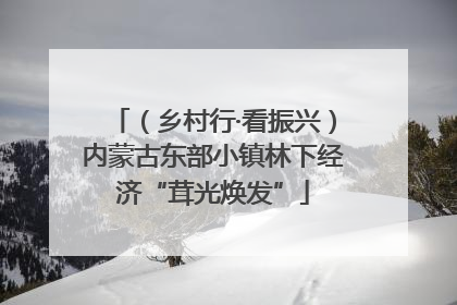 （乡村行·看振兴）内蒙古东部小镇林下经济“茸光焕发”